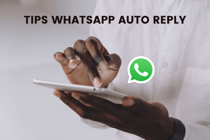 whatsapp auto reply