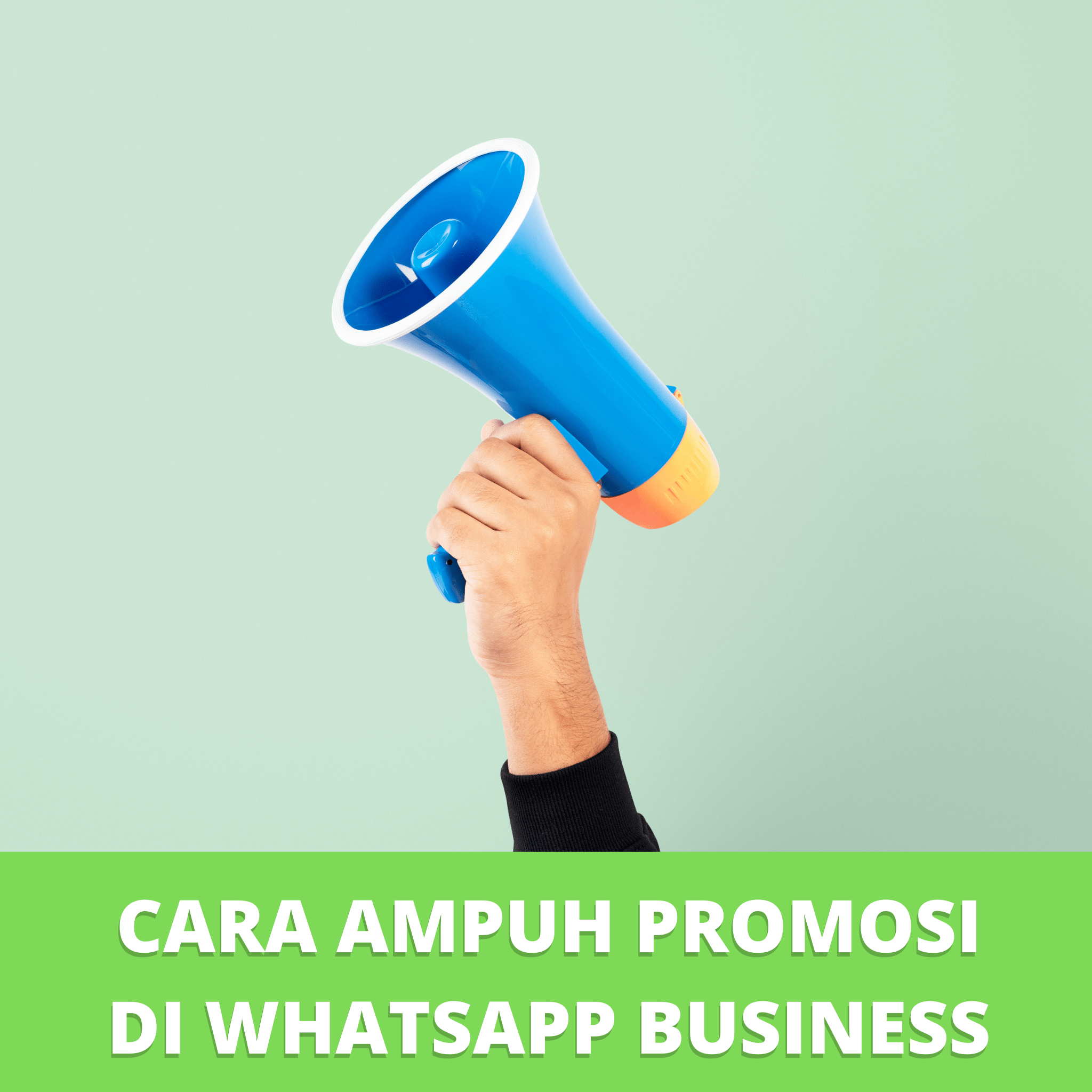 promosi di whatsapp business