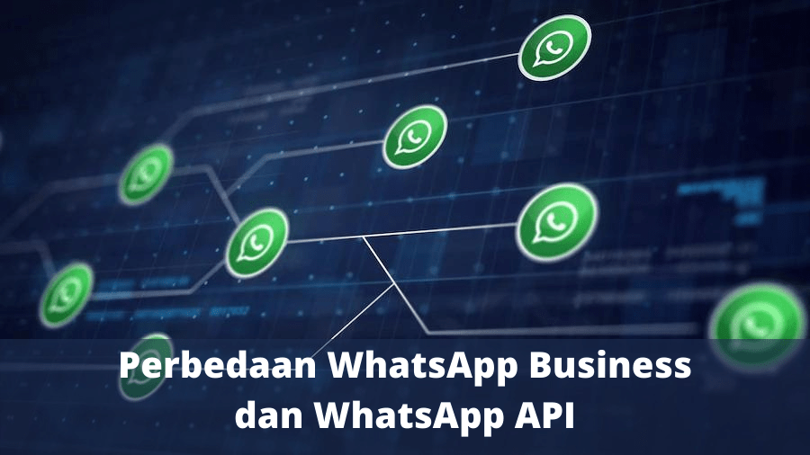 perbedaan whatsapp business dan api