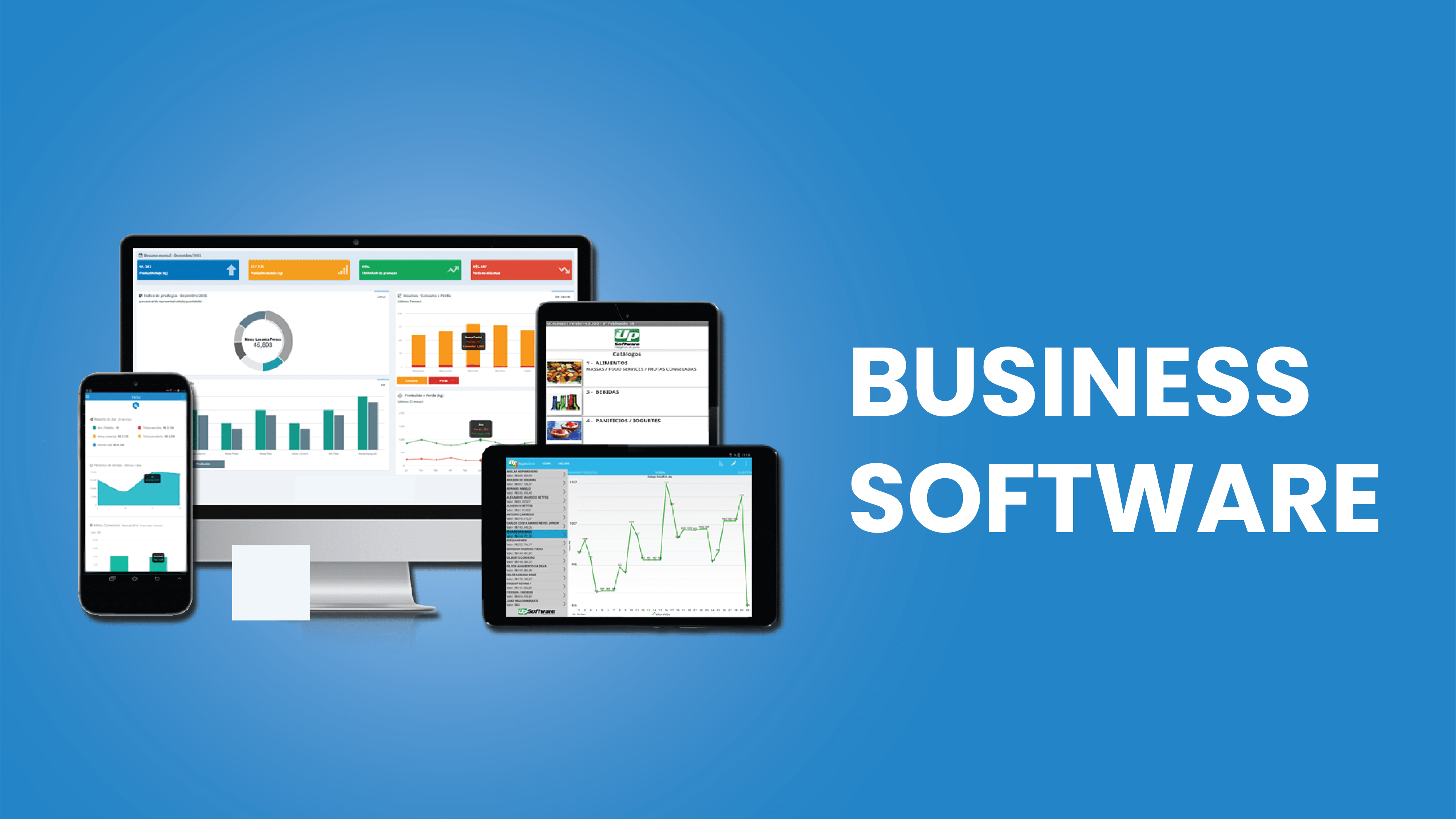 software bisnis