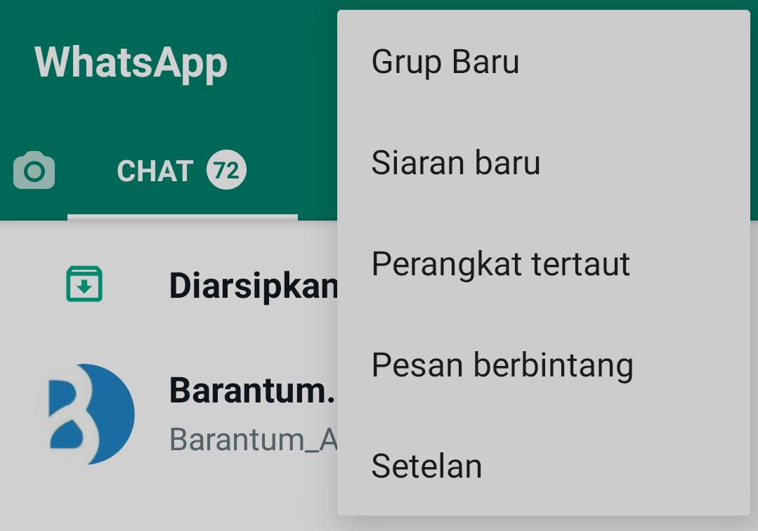 nonaktifkan status online di whatsapp