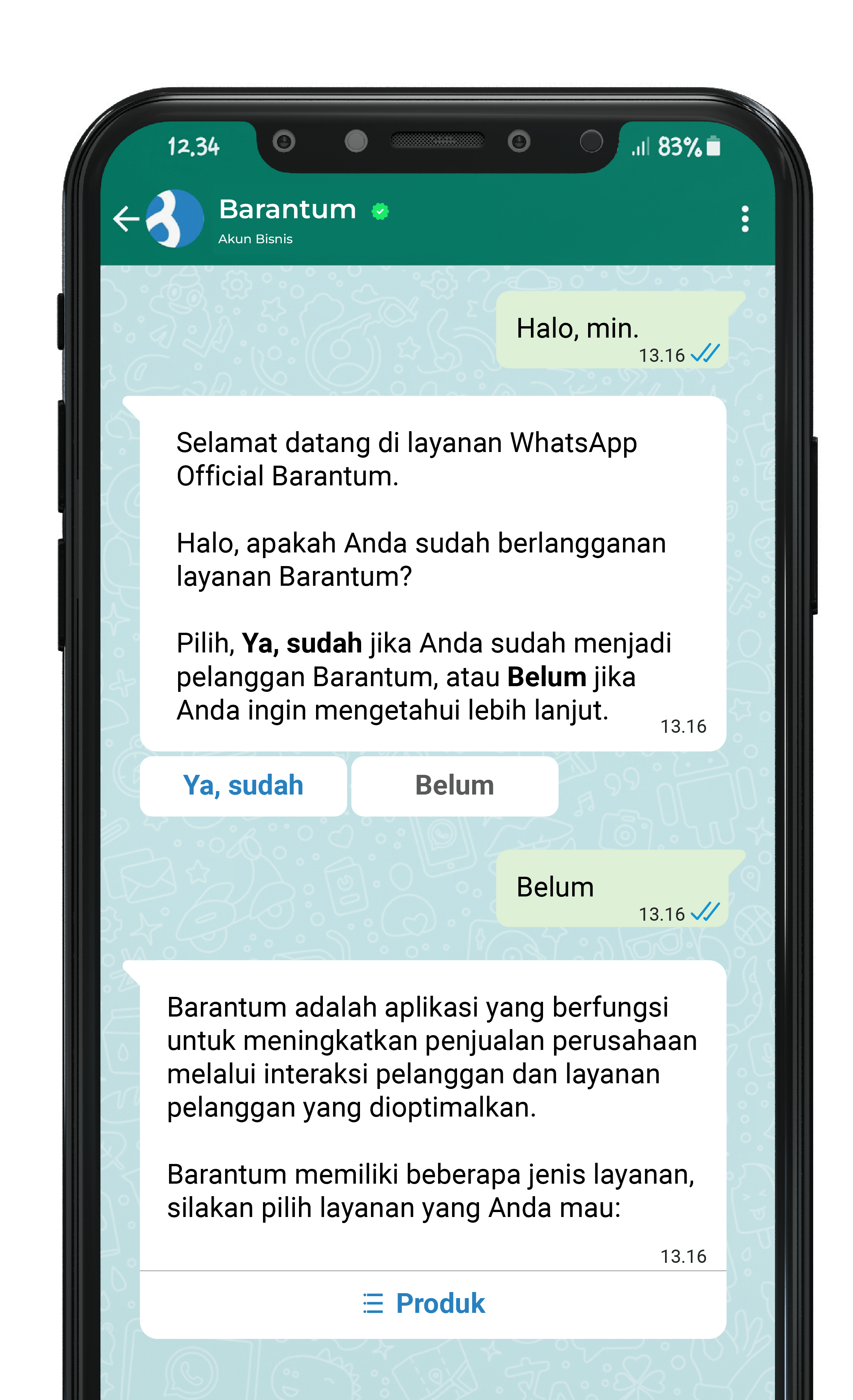 chatbot chatscript barantum