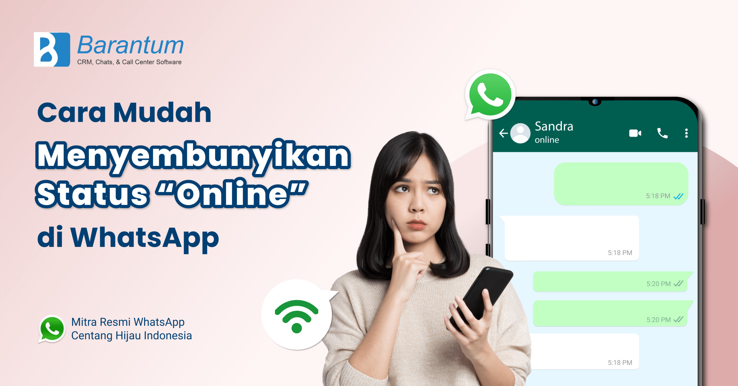 sembunyikan status whatsapp